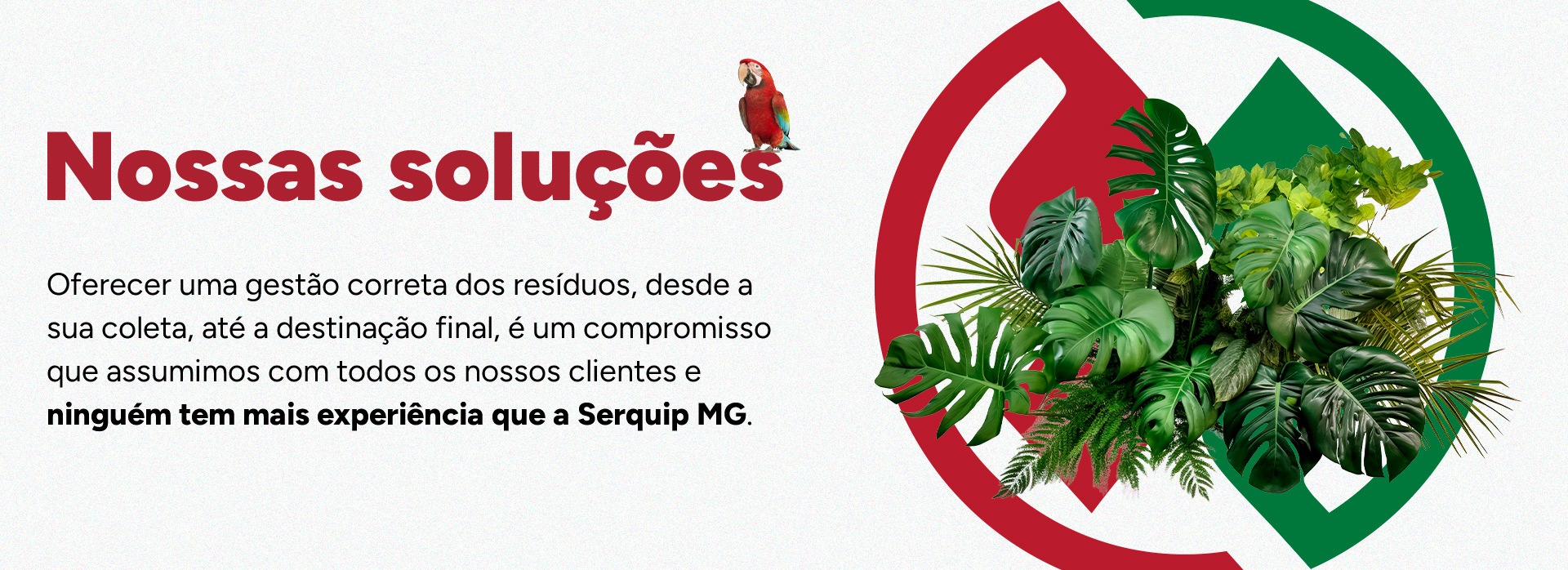 Banner-Site-Serquip-MG---Nossas-Solucoes